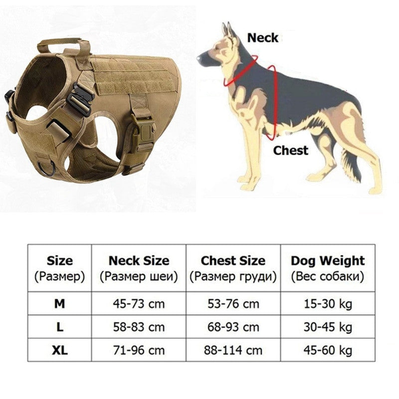 Metal Buckle Tactical Dog Harness & Lead