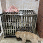 Heavy Duty Stainless Steel Dog Kennel Crate