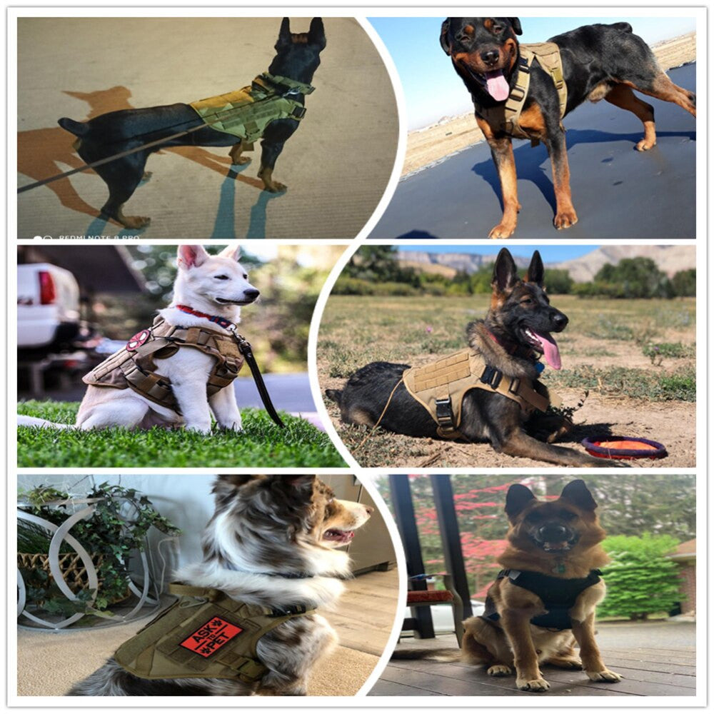 Metal Buckle Tactical Dog Harness & Lead